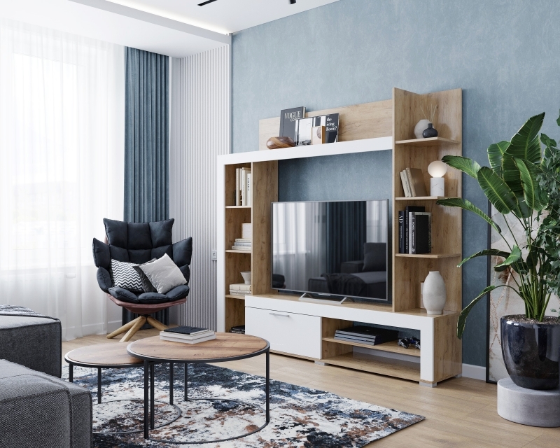 Гостиная «Васанта»