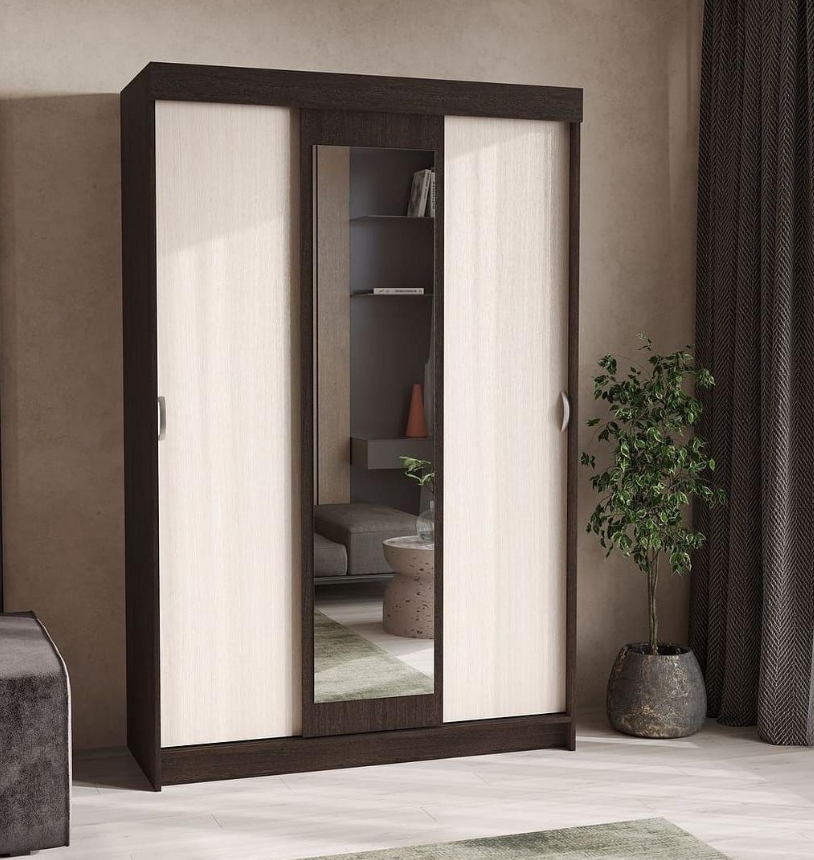 Шкаф-купе «Басса 551»